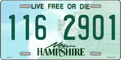 NH license plate 1162901