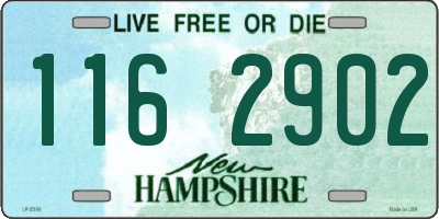 NH license plate 1162902