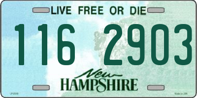 NH license plate 1162903