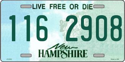 NH license plate 1162908