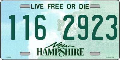 NH license plate 1162923