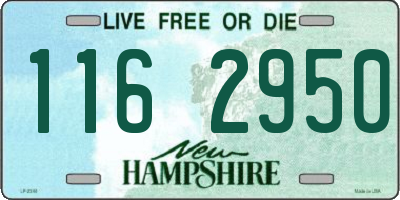NH license plate 1162950