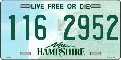 NH license plate 1162952