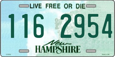 NH license plate 1162954