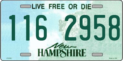 NH license plate 1162958