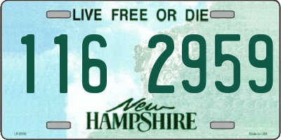 NH license plate 1162959