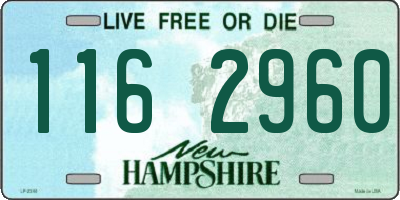 NH license plate 1162960