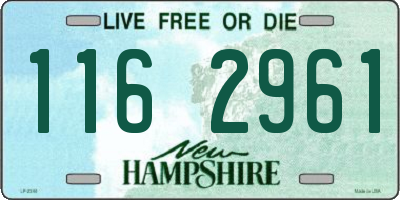 NH license plate 1162961