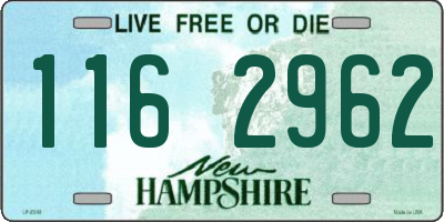 NH license plate 1162962
