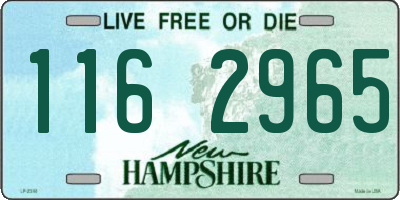 NH license plate 1162965