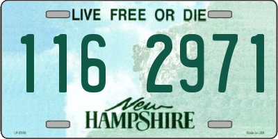 NH license plate 1162971
