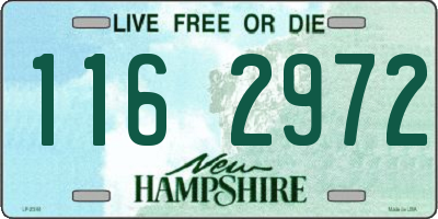 NH license plate 1162972