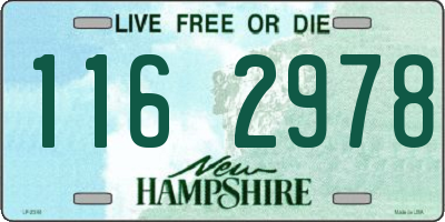 NH license plate 1162978