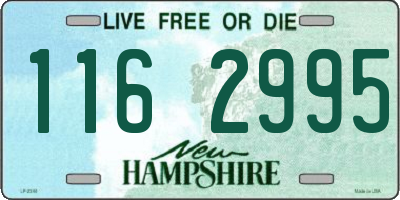 NH license plate 1162995