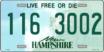 NH license plate 1163002