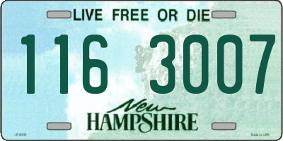 NH license plate 1163007
