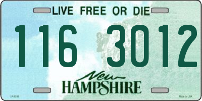 NH license plate 1163012