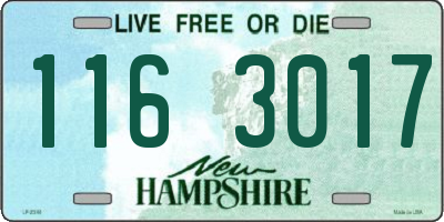 NH license plate 1163017