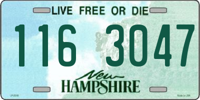 NH license plate 1163047