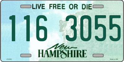 NH license plate 1163055