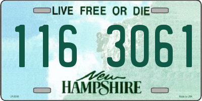 NH license plate 1163061