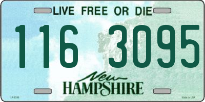 NH license plate 1163095