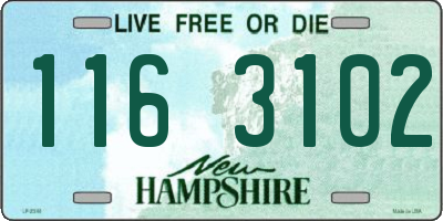 NH license plate 1163102