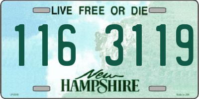 NH license plate 1163119