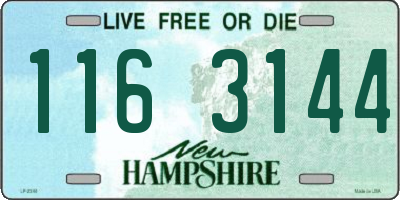 NH license plate 1163144