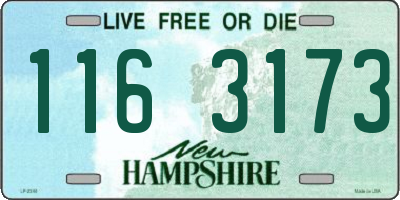 NH license plate 1163173