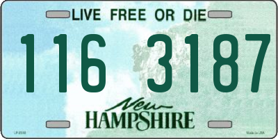NH license plate 1163187