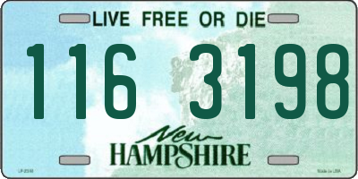 NH license plate 1163198