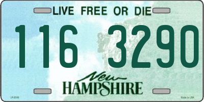 NH license plate 1163290