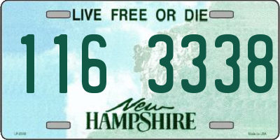 NH license plate 1163338