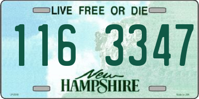 NH license plate 1163347