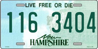 NH license plate 1163404