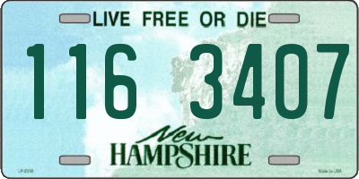 NH license plate 1163407
