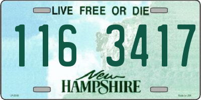 NH license plate 1163417