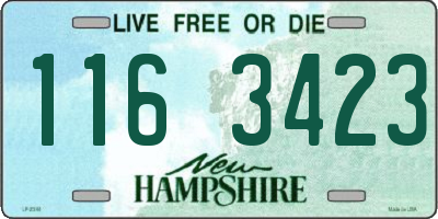 NH license plate 1163423