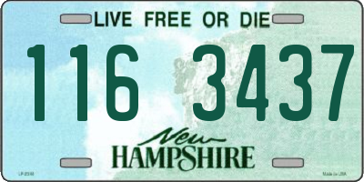 NH license plate 1163437