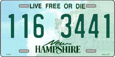 NH license plate 1163441