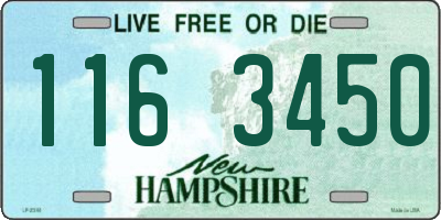 NH license plate 1163450