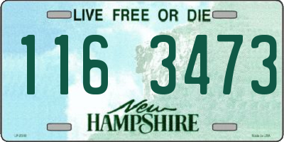 NH license plate 1163473