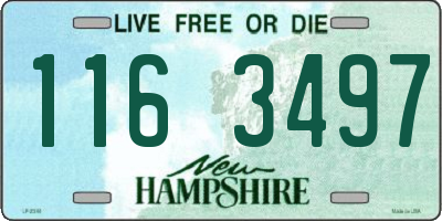 NH license plate 1163497