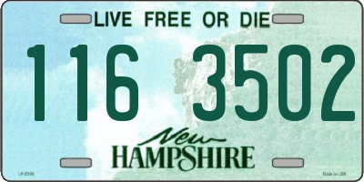 NH license plate 1163502