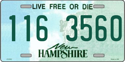 NH license plate 1163560
