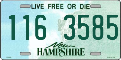 NH license plate 1163585