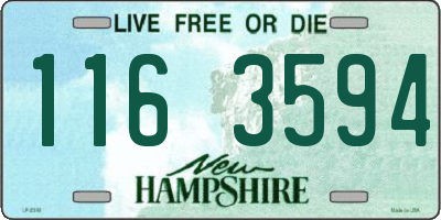 NH license plate 1163594