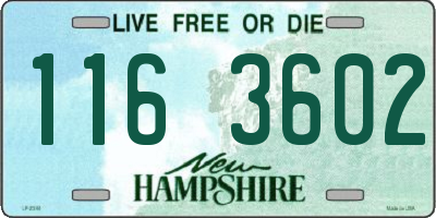 NH license plate 1163602