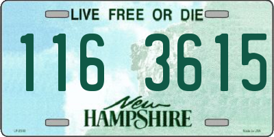 NH license plate 1163615